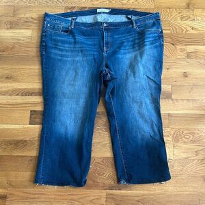 Torrid Jeans. Size 30S